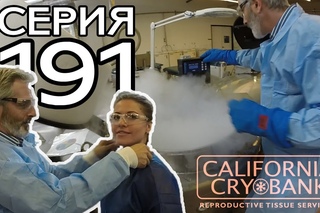 ОБРАТИЛИСЬ В БАНК СПЕРМЫ В США // КРУГОСВЕТКА - СЕРИЯ 191