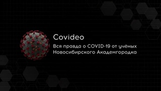 Познавательная лекция курса “Covideo“