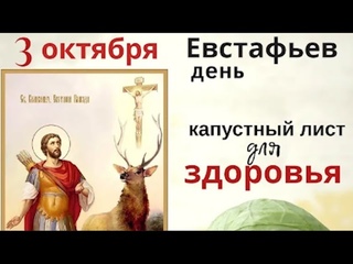 3 октября Евстафьевы ветры и ветер сегодня поможет исполнить желание.