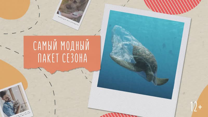 Самый модный пакет