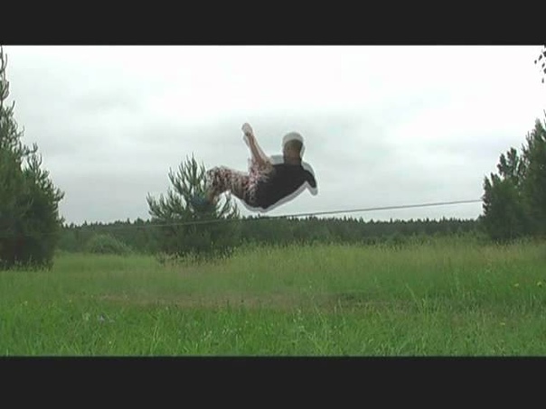 Gibbon Wildcard Jaan