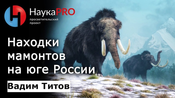 Вадим Титов Находки мамонтов на юге Европейской