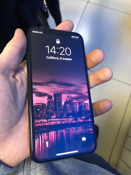 Apple iPhone X