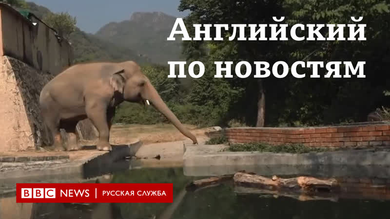 Учим английский по новостям. Серия Lingohack: New life for world s loneliest