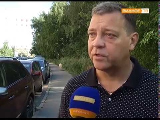Чистое Подмосковье - субботник в лесопарковой зоне около 6 микрорайона