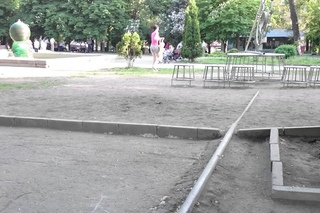 Воробьи в парке...