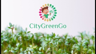 микрозелень citygreengo