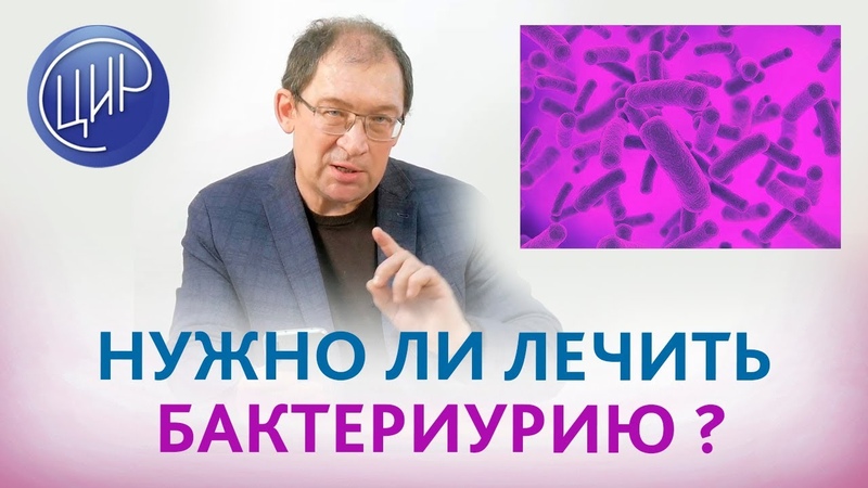 Бактерии в моче при беременности. Лечить ли бессимптомную