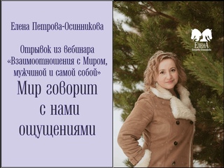 Мир говорит с нами ощущениями. Елена Петрова-Осинникова