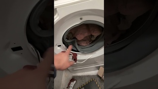Miele door lock change
