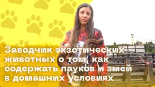 Заводчик экзотических животных о том, как содержать пауков и змей в домашних условиях