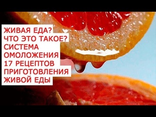 Живая еда  что это такое  Система омоложения  17 рецептов приготовления живой еды