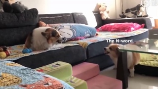 Angery bois Part 3