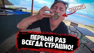 Пробуем первый раз устрицы в Судаке!