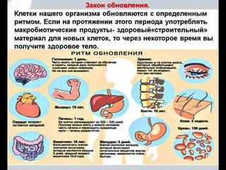 LR способ продлить жизнь без болезней. Закон обновления. Отзыв скептика.
