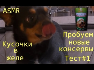 ASMR Тестируем новые консервы. Заценили даже кошки.