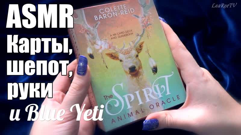 АСМР 100 сон Показываю карты ASMR The Spirit Animal Oracle, , Шепот, Blue