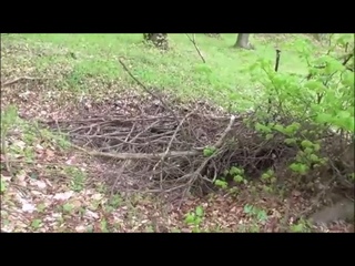 Шанцы и окопы перед фортом №3 Дорога на Гору форта 7 Пралковцы№3 Trenches and trenches of the fort 7