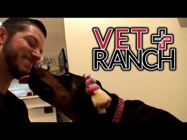 Pups Adopted, Mom Scheduled for