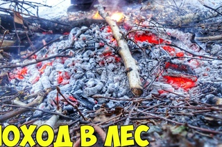 |ПОХОД в ЛЕС|КРУТОЙ ЗАЦЕП 2|ЖАРИМ КАРТОШКУ|
