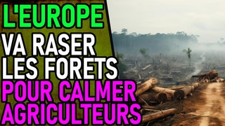 POUR CALMER LES AGRICULTEURS L'EUROPE VA RASER LES FORETS !!!