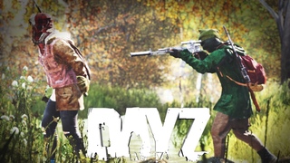 Взяли в плен игрока показать базу. Втерся в доверие ради машины в DayZ