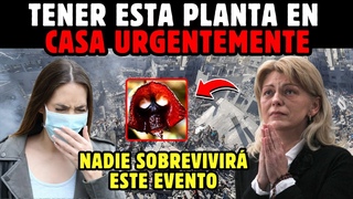 ALERTA URGENTE! MILLONES SUFRIRAN ESTE MAL Y CAERN | MENSAJE DE VIRGEN MARA