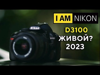 Nikon D3100 Обзор в 2023 Пойдет?