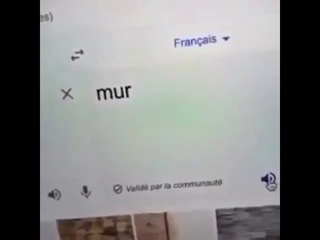 Le french cat