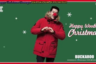 DinosaurteamVietsub Kim Woo Bin 2013 Happy Christmas Message