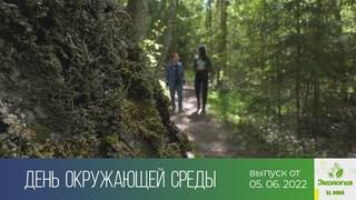 Экология и мы ()