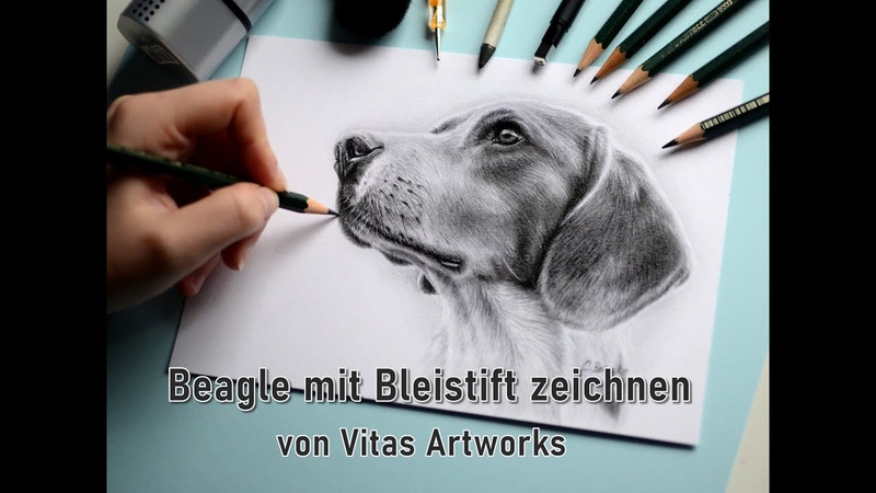 Hund mit Bleistift zeichnen how to draw a realistic dogportrait with graphite