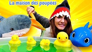 Shark fait la piscine pour la famille des canards. Vidéo amusante.
