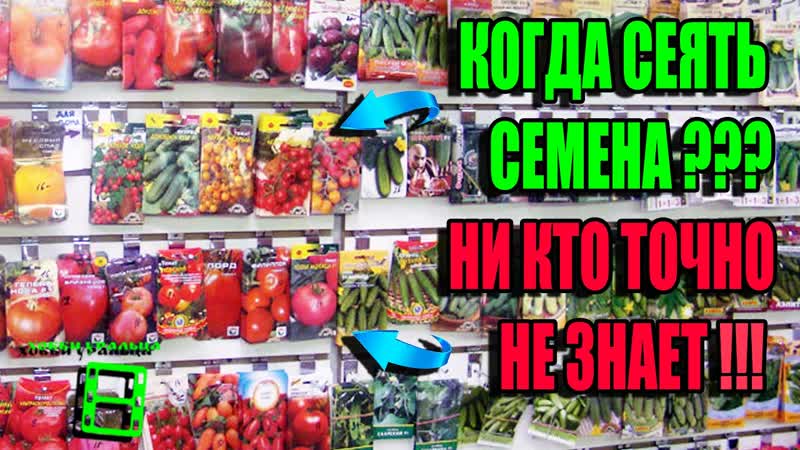 ЛУЧШЕЕ ВРЕМЯ ПОСАДКИ СЕМЯН. КОГДА СЕЯТЬ СЕМЕНА НА РАССАДУ