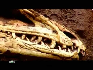 Фильм 2.«Ульяновская область.Земля мутантов?» []