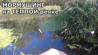 Мормышинг с нимфой на Теплой речке.