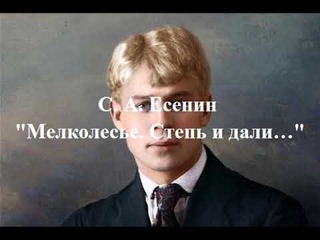 Есенин С. А. Мелколесье. Степь и дали