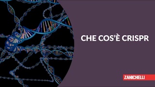 Che cos' CRISPR