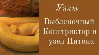 Узел “Выбленочный“, “Констриктор“, “Двойной Констриктор“ и “Узел Питона“