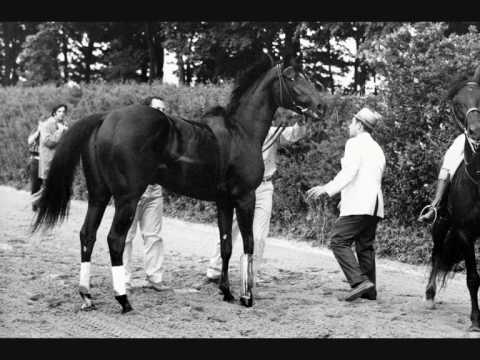 Remembering Ruffian Part 2: The Match