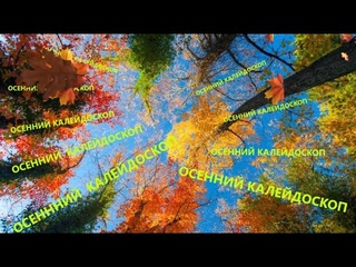 #живаяочередь  Выплаты партнёров с 16 ноября 1 декабря