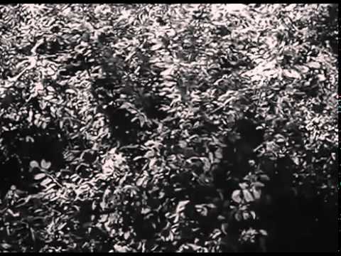 Немецкие снайперы Люфтваффе 1944 Военные