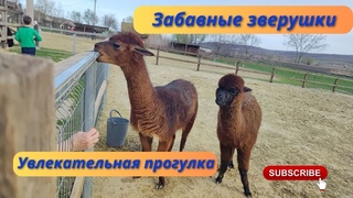 ZooClub в 13 км от Кишинева в селе Бардар