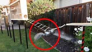 Building the Perfect Squirrel Proof Bird Feeder