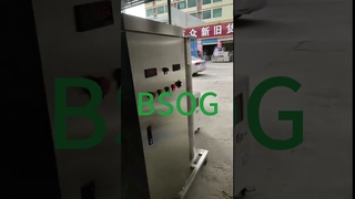 500g/h Ozone Machinery Industry Wastewater Treatment Ozone Water Purifier
