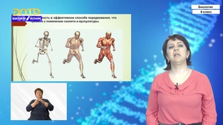7-класс | Биология | Доказательства эволюции животного мира