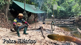 muito PEIXE ELTRICO  no mesmo lugar | ACAMPAMENTO, PESCARIA e muita atividade ANIMAL