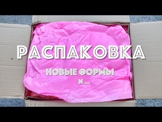 САМАЯ долгожданная ФОРМА Silikomart ☆ Распаковка из Тортомастера