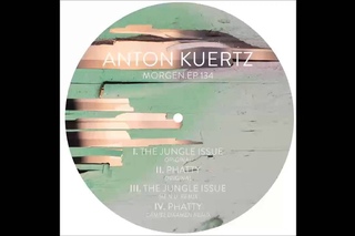 Anton Kuertz -  Phatty (Original Mix)