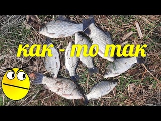 Вот такая  рыбалка #Дон #судочкойнаДону #рыбалкаиотдыхпоРостовски #мертвыйдонец